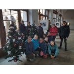 obrázek k článku: Vánoční stromek