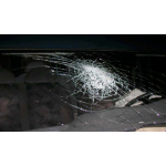 obrázek k článku: The action