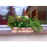 obrázek k článku: Advent