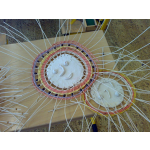 obrázek k článku: Sluníčka