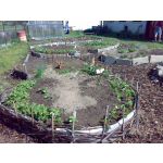 obrázek k článku: Školní zahrada 2011