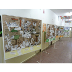 obrázek k článku: Den prevence