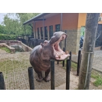 obrázek k článku: Výlet ZOO Dvorec