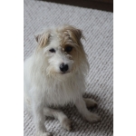 obrázek k článku: test