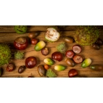 obrázek k článku: Soutěž 